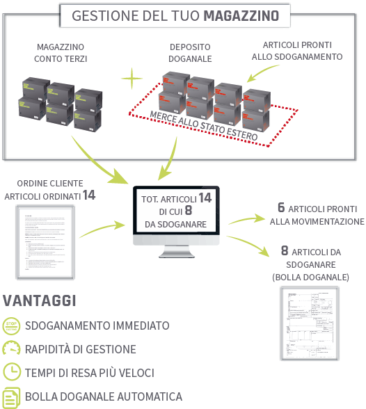  Temporanea esportazione			temporanea importazione	immagine infografica