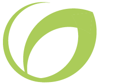 logo nova green nova systems