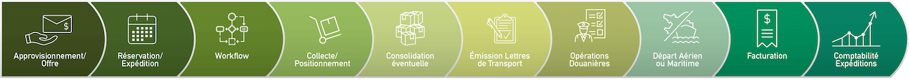 flux infographique transitaires internationaux